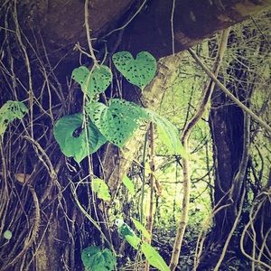 Meet your Posher, Bertrice